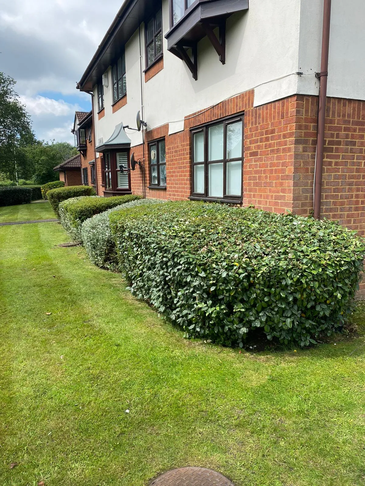 A house with a lawn and bushes in front of it.