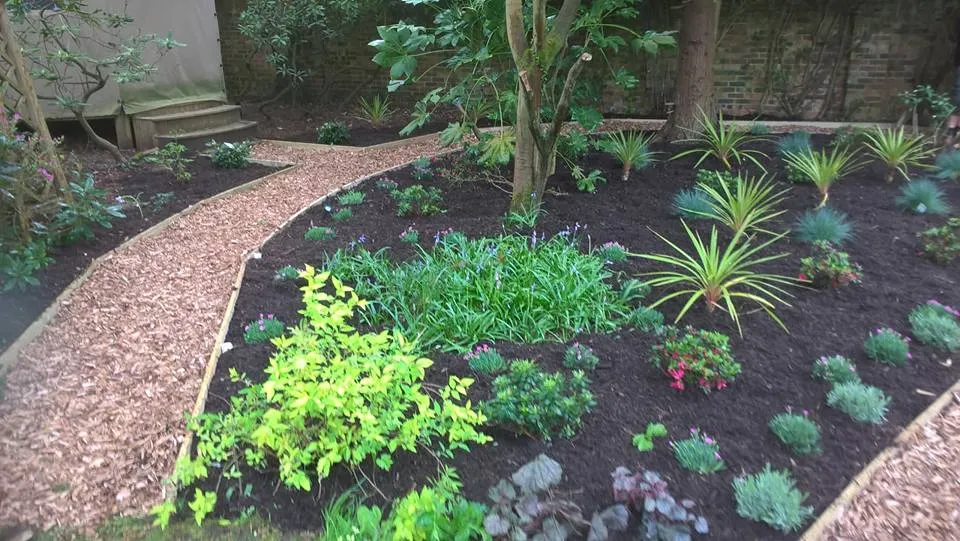 A garden filled with lots of different types of plants.