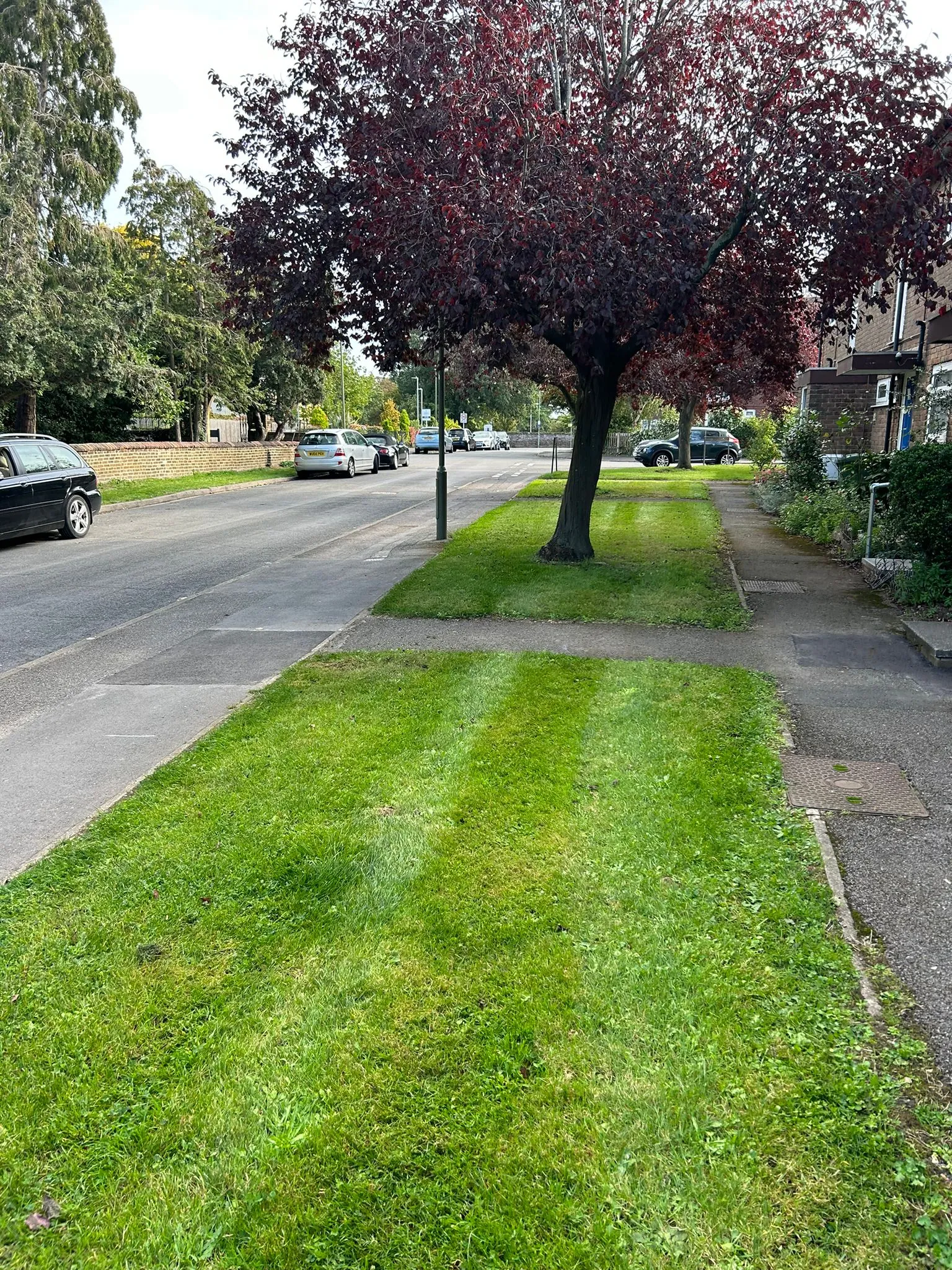 A street with cars parked on the side of it.