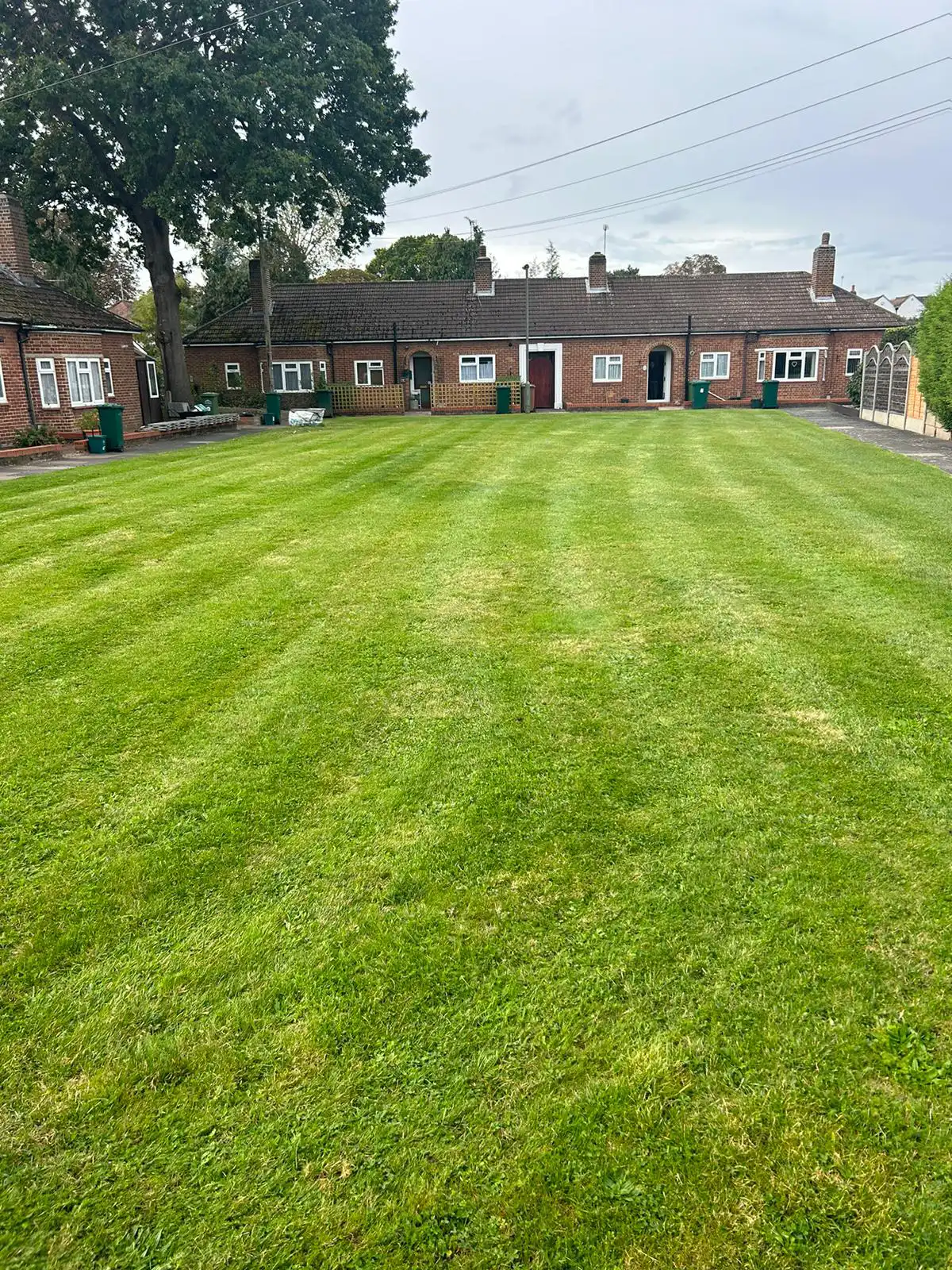 A green lawn with a house in the background.