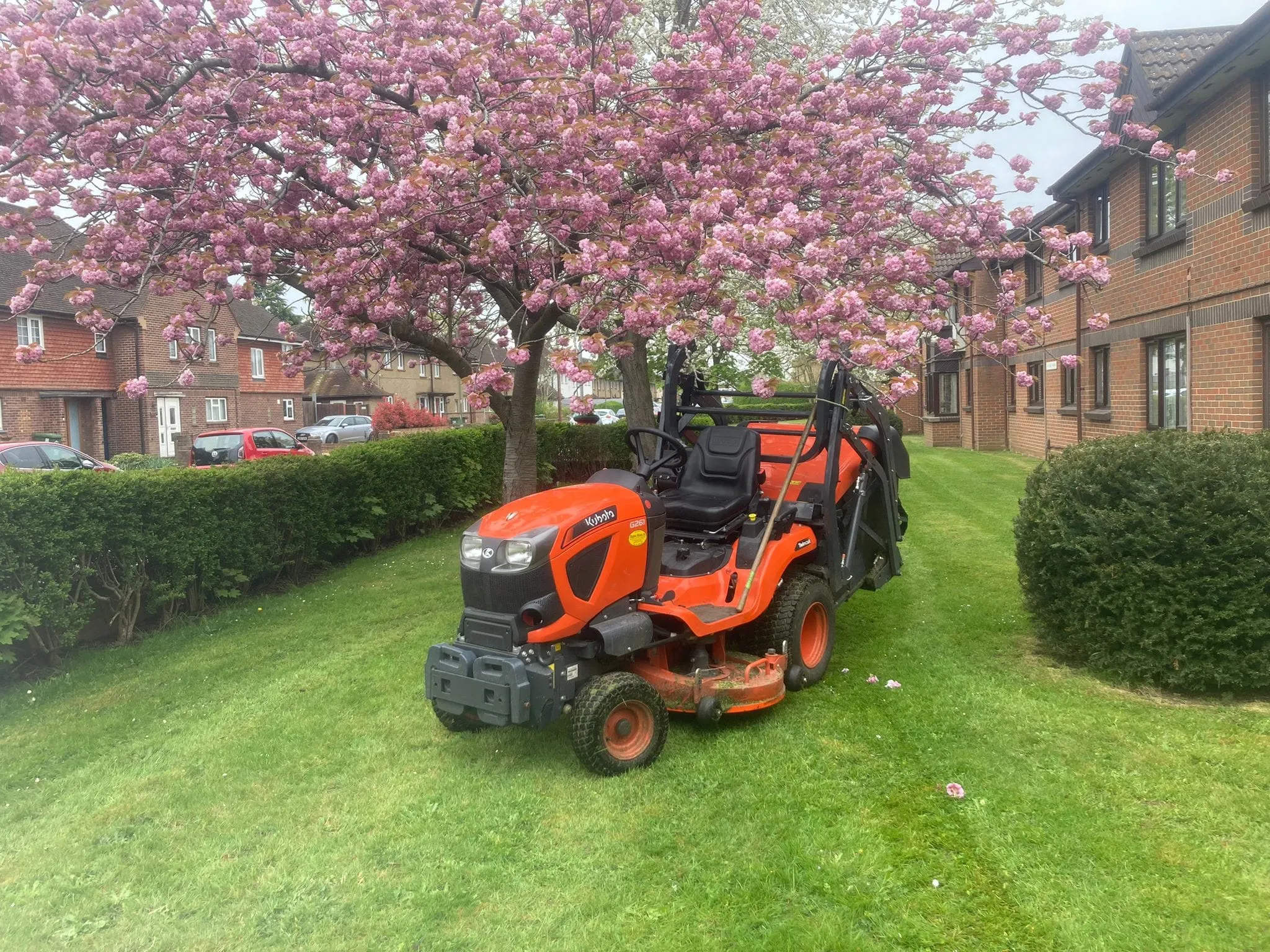 A lawn mower sitting in the grass next to a tree.